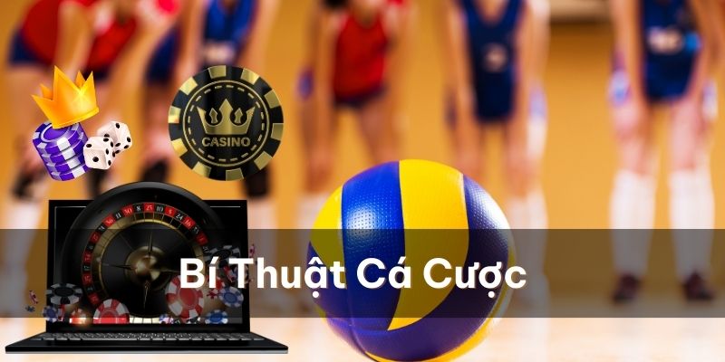 Bí thuật, mưu lược cá cược bóng chuyền siêu hiệu quả