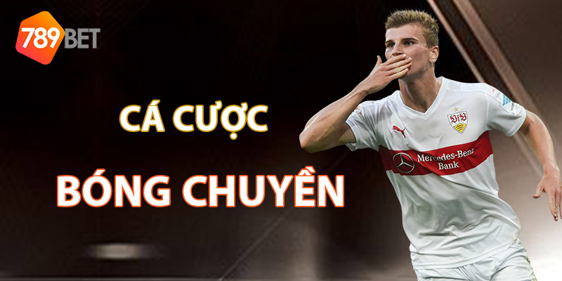 Cá Cược Bóng Chuyền