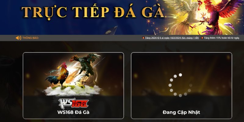 Quy trình cá cược đá gà 789Bet