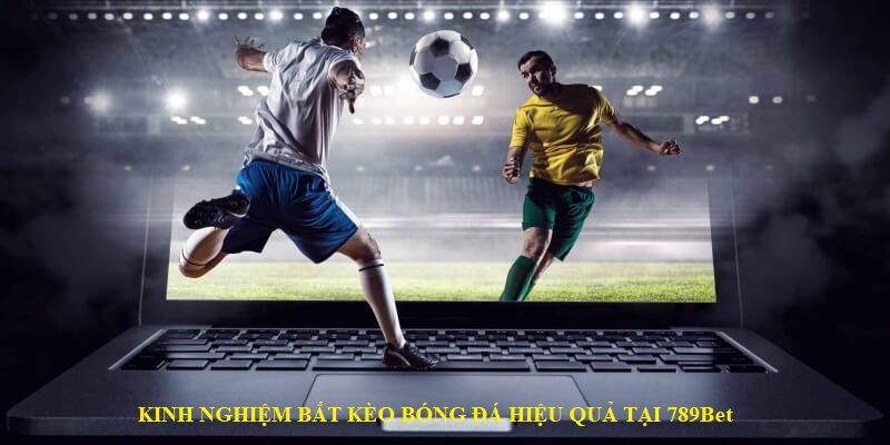 Kinh nghiệm chơi cá độ bóng đá là gì tại 789Bet